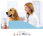 Dog Pain Relief Made Simple: Turmeric for Dogs vs Cosequin for 