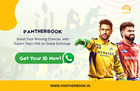 DubaiExchange vs Sky Exchange ID: Which One Suits Indian Bettor