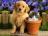Opt for Impeccable Reproduction Paintings to Boost the Beauty o