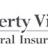 Liberty Videocon