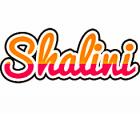 The Latest in Designer Half Saree Styles in India
